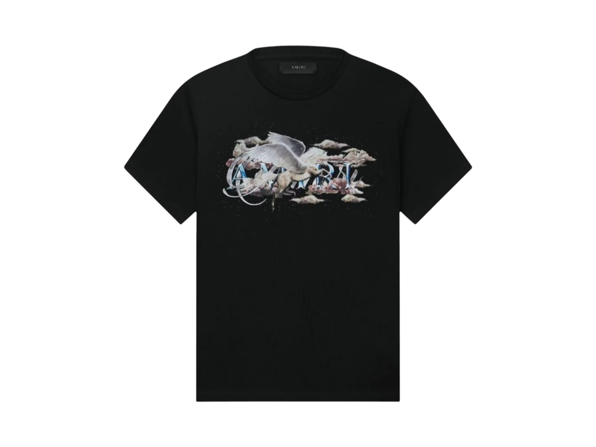 https://res.cloudinary.com/dlqdbsx2k/image/upload/v1788882994/AMIRI_Pegasus_Script-print_T-Shirt_Black_ccnlgm.jpg