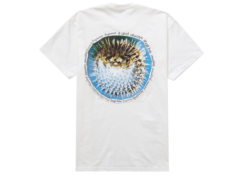https://res.cloudinary.com/dlqdbsx2k/image/upload/v1784204985/Supreme-Blowfish-Tee-White_wabj4w.jpg